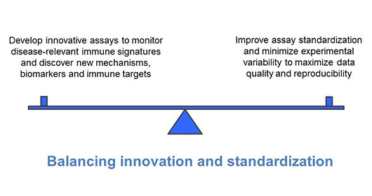 Scale balancing innovation vs standardization